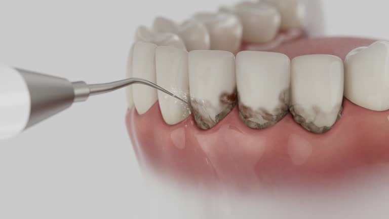 Reliable Dental contractor in Richmond, MN by Dentist Open Now